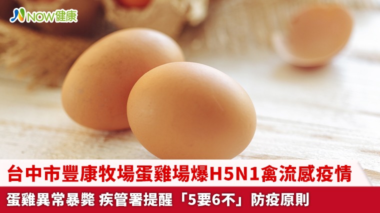 台中市豐康牧場蛋雞場爆H5N1禽流感疫情蛋雞異常暴斃 疾管署提醒「5要6不」防疫原則