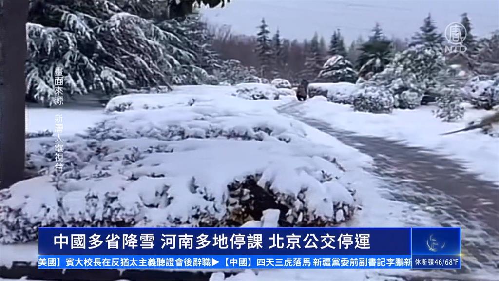 寒潮襲擊！中國多地暴雪「河南積雪20公分」　唯獨貓熊嗨翻雪中打滾