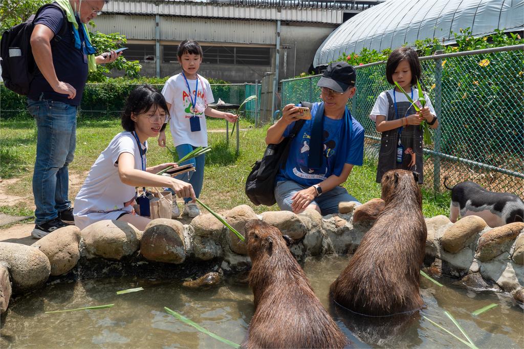 蘆竹炫YA夜農遊季獲好評　桃園農業局曝秋季限定活動熱身中