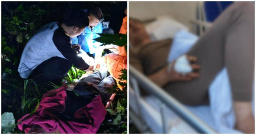 重慶男子上山採菇　遭黑熊襲擊「一巴掌打下山坡」！生還直呼：雨靴救我一命