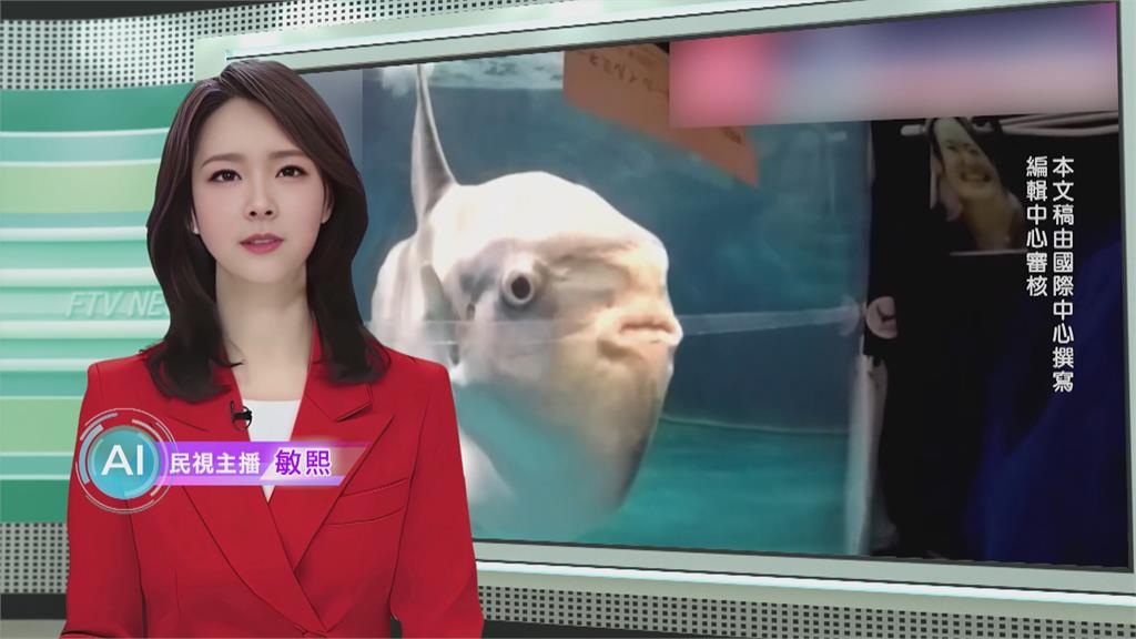 敏熙報氣象／真寂寞！　水族館整修無遊客 「窗前擺假人」治翻車魚憂鬱