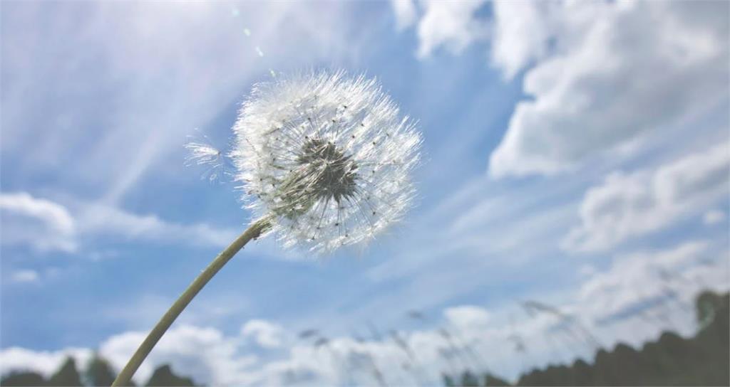 全台晴到多雲暖熱如夏高溫30到34度　東南部恐有焚風