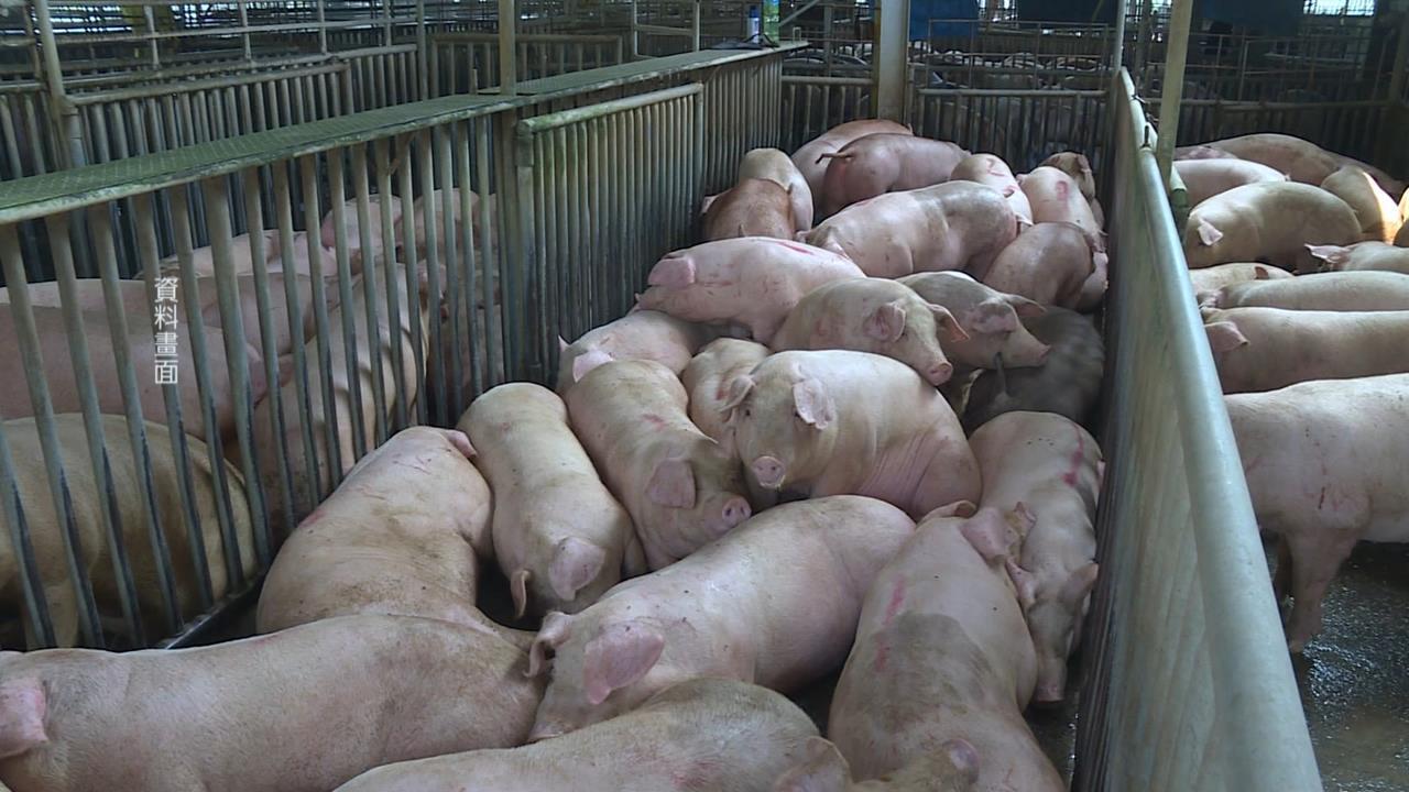 高雄加碼補助豬肉攤商1.5萬 每攤最高可領4.5萬