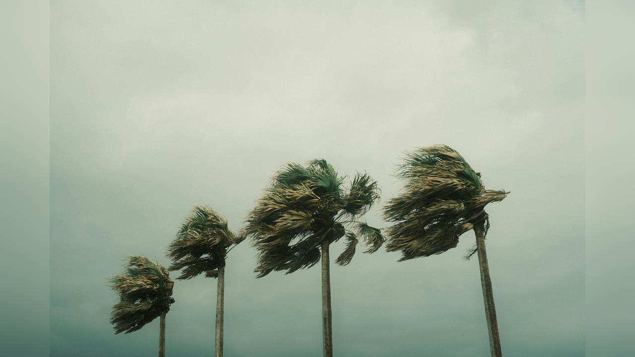快新聞/強風特報!8地區亮黃色燈號 西南風吹到明晚