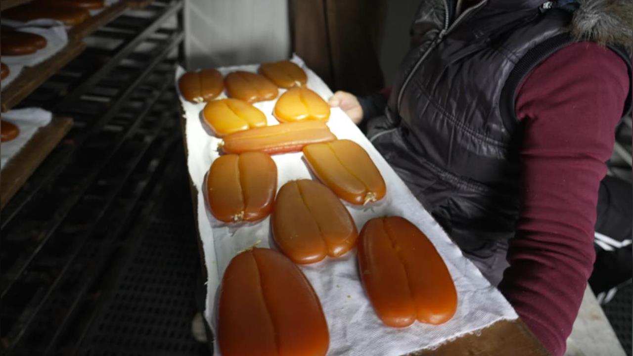 異言堂(影)／烏魚子真相曝　專家揭：台灣真野生不到一成