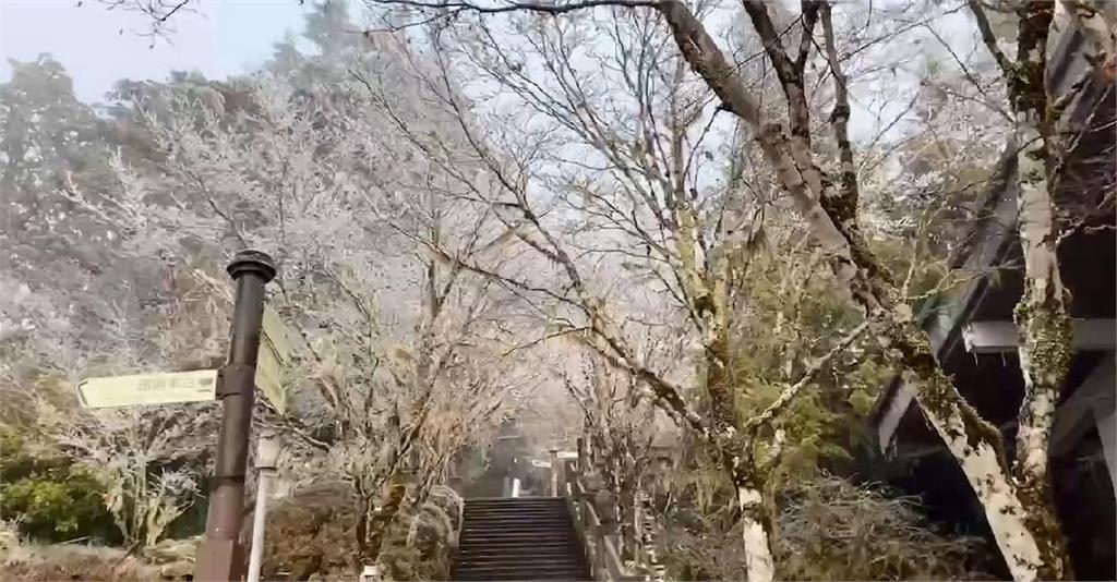 快新聞／太平山絕美霧凇雪景！　今開園「免裝雪鏈」也可上山