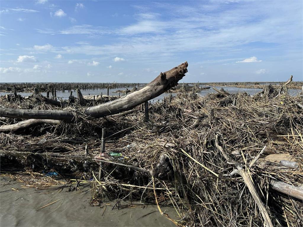 颱風釀海水倒灌沖倒彰化蚵棚 漁業署:每公頃補助3‧3萬