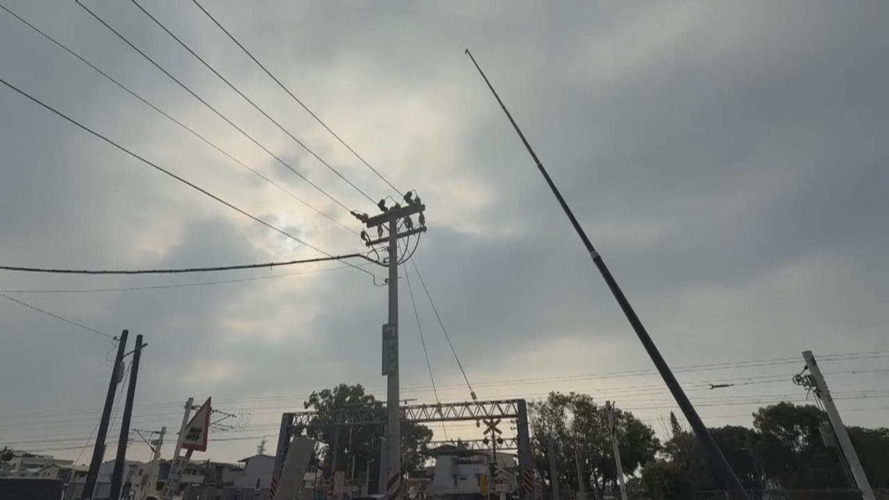 抓綠鬣蜥誤觸高壓電男二度燒燙傷　專家：長竿只適合空曠地區使用