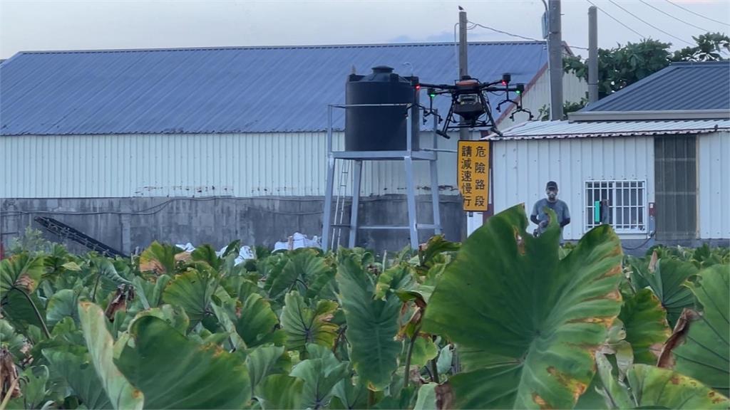 「飛」出人生新高度　空軍退伍自學「無人機」支援搜救、農噴