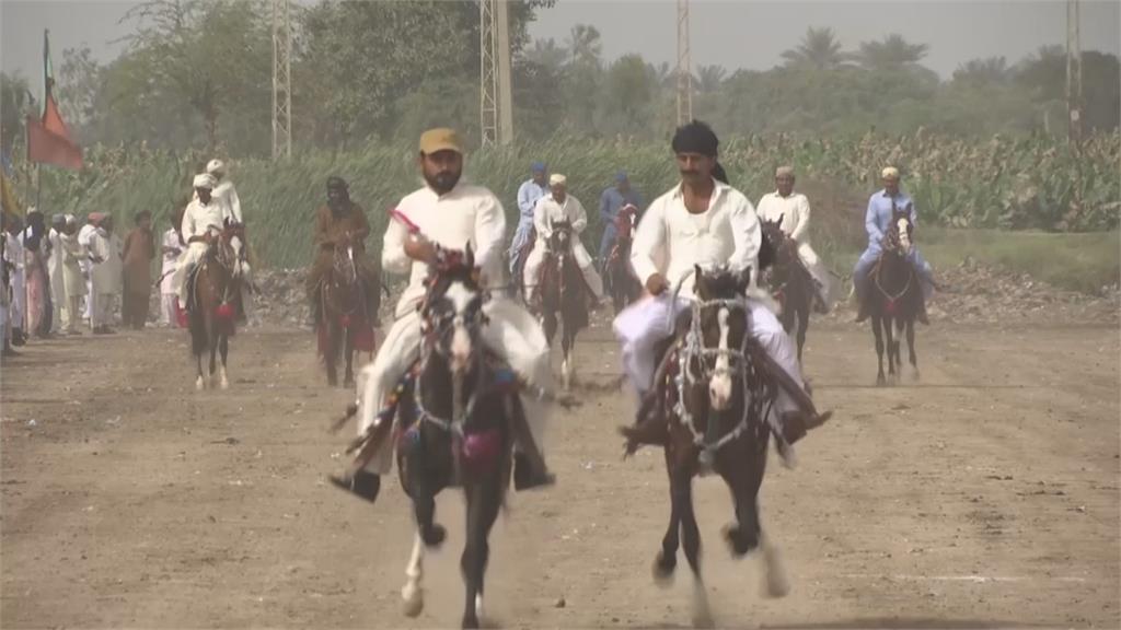 巴基斯坦信德節 傳統賽馬、摔跤熱鬧登場