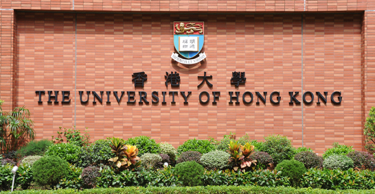 快新聞／ChatGPT造成教育大風吹　香港各大學紛討論「禁AI交作業」