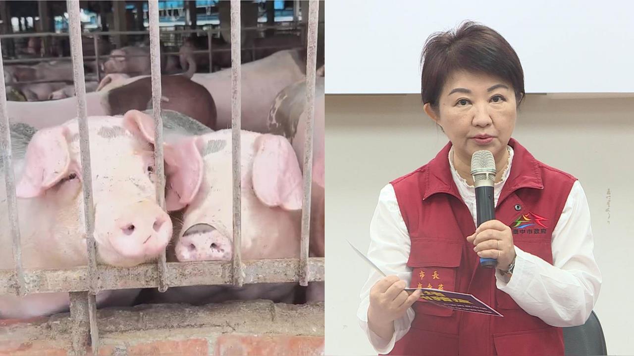 最前線(影)/中市府「誰」決定不採檢 害疑非洲豬瘟延燒?中檢追查關鍵!