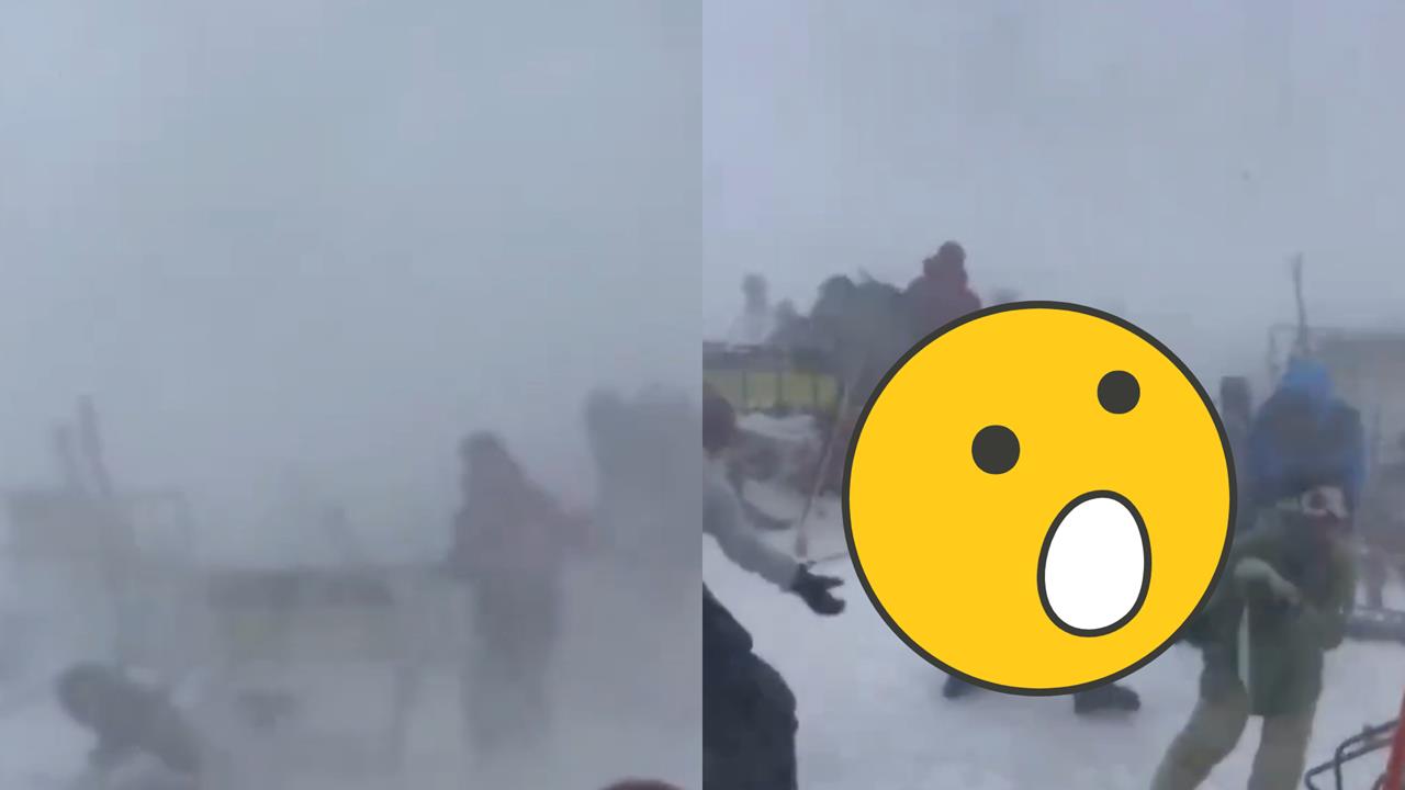 暴風雪強襲北海道畫面曝！滑雪客被吹倒「趴地爬行」台人驚：根本災難現場
