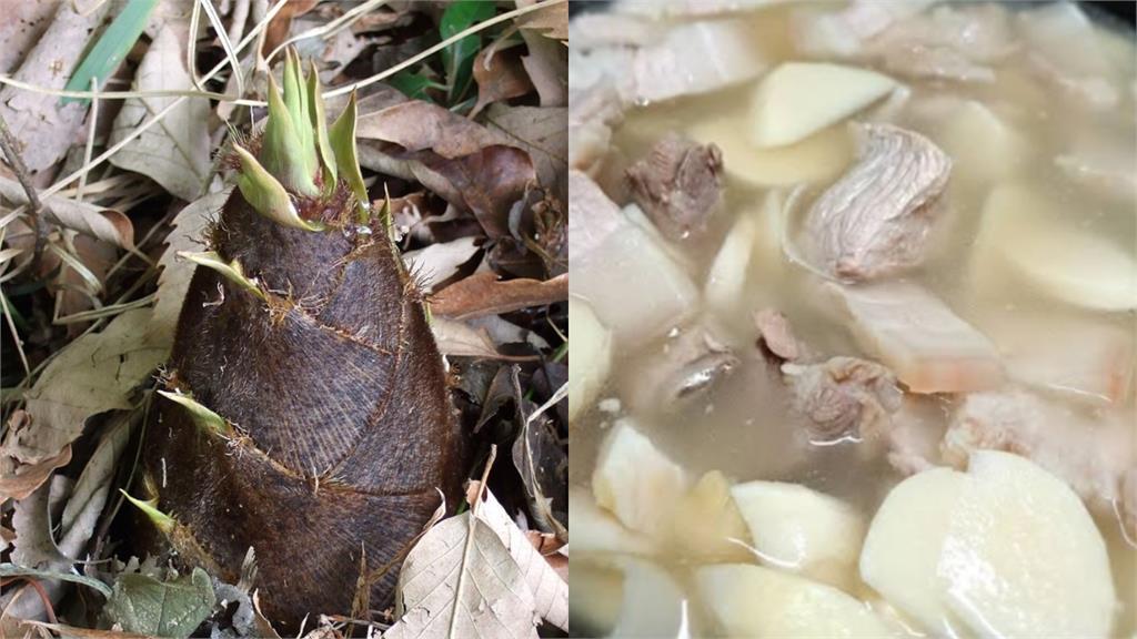 竹筍排骨湯「美味料理」祕訣！內行人曝「實用2招」鮮甜可口去苦味