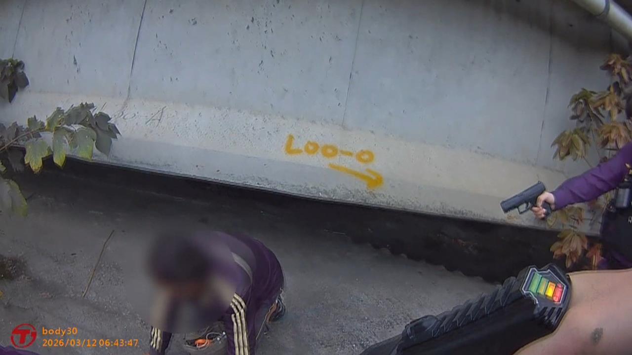 通緝犯藏身東華大橋下窄縫 警持電擊槍埋伏抓人