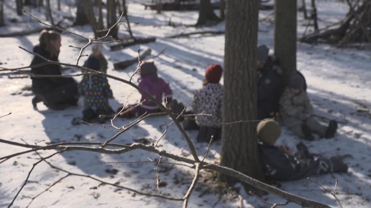 全法第一間！　「100％戶外幼兒園」　吃飯午休都在戶外　家長讚：孩子不易生病