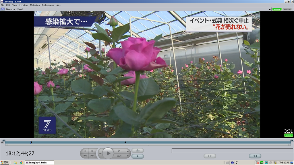 武漢肺炎重創日本鮮花業