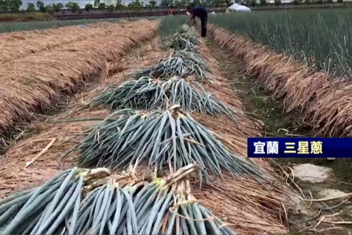 泰利進逼北台 基宜農民加緊搶收