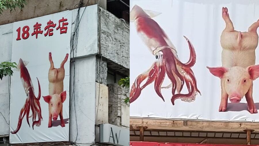 18年老店招牌「魷魚+倒立豬」是賣啥？在地人全推爆：超好吃