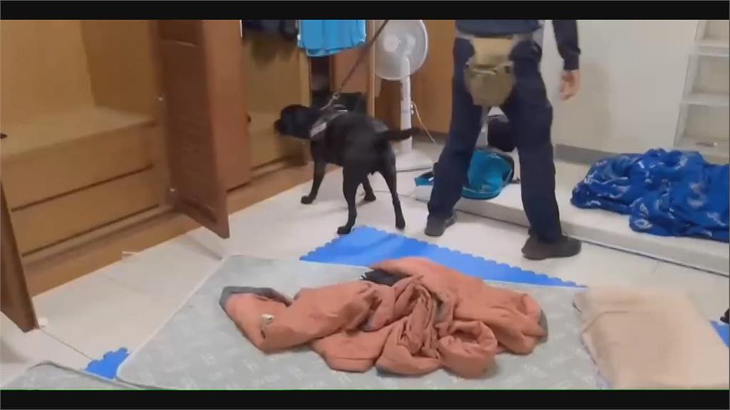 全台唯一電子偵測犬　"Wafer"助警破洗錢機房　查扣51億金流　逮12嫌