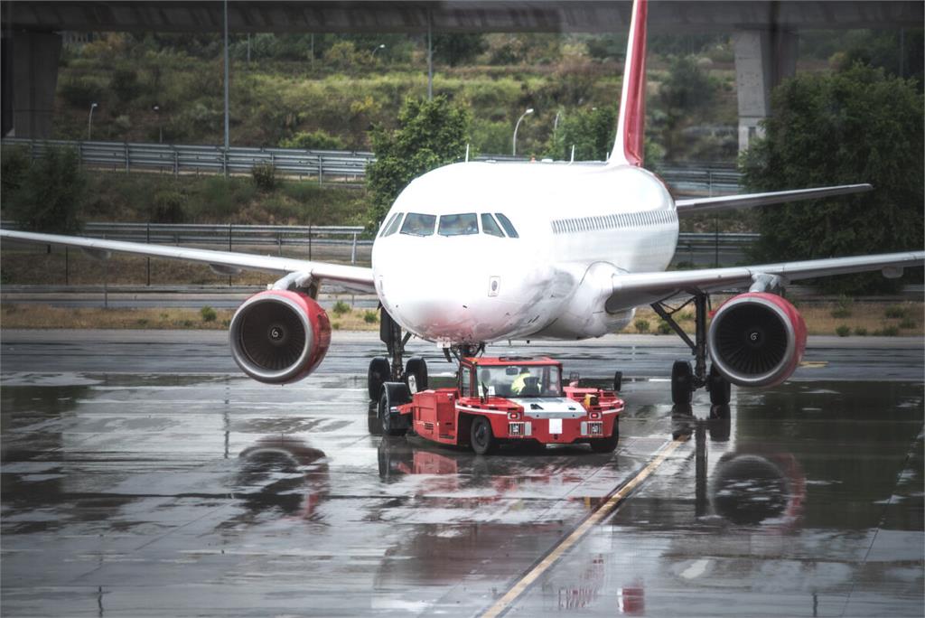 「最危險候鳥」撞毀客機釀慘劇　日本下令107座機場急拉警報線