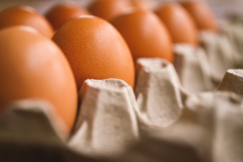 搶嘸蛋免驚！營養師不藏私列「12種替代食物」選擇順序一次看