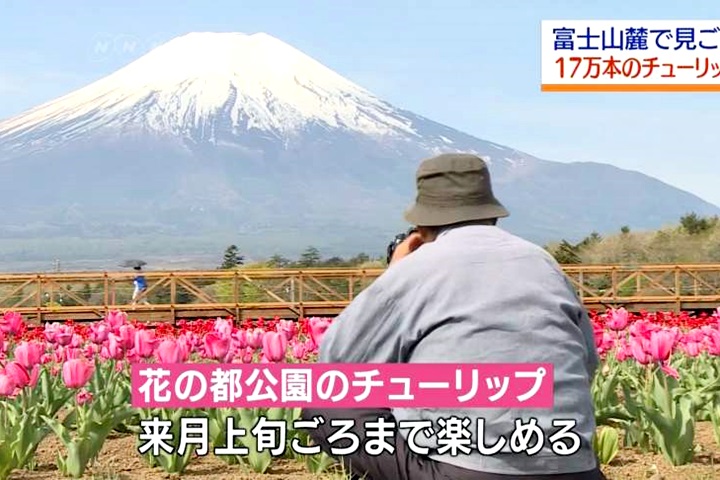 日本黃金週連假！富士山跟「這裡」成熱門景點