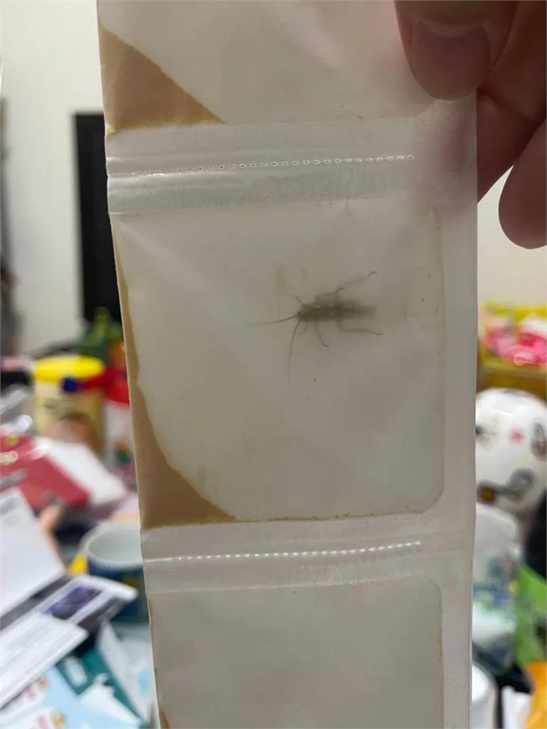 超噁心！藥包驚見活蟑螂　家長傻眼喊：環境有多髒？