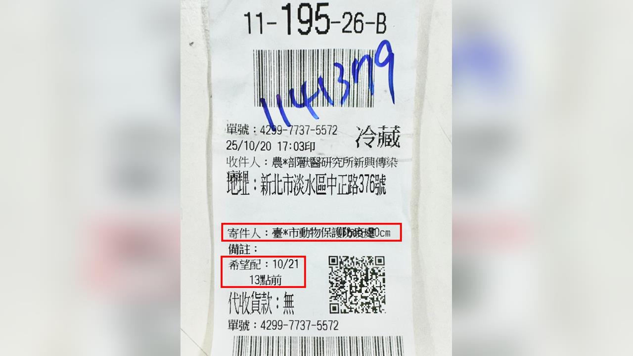 快新聞／非洲豬瘟檢體竟「下班才用快遞郵寄」　台中市府挨批「惡意拖延」