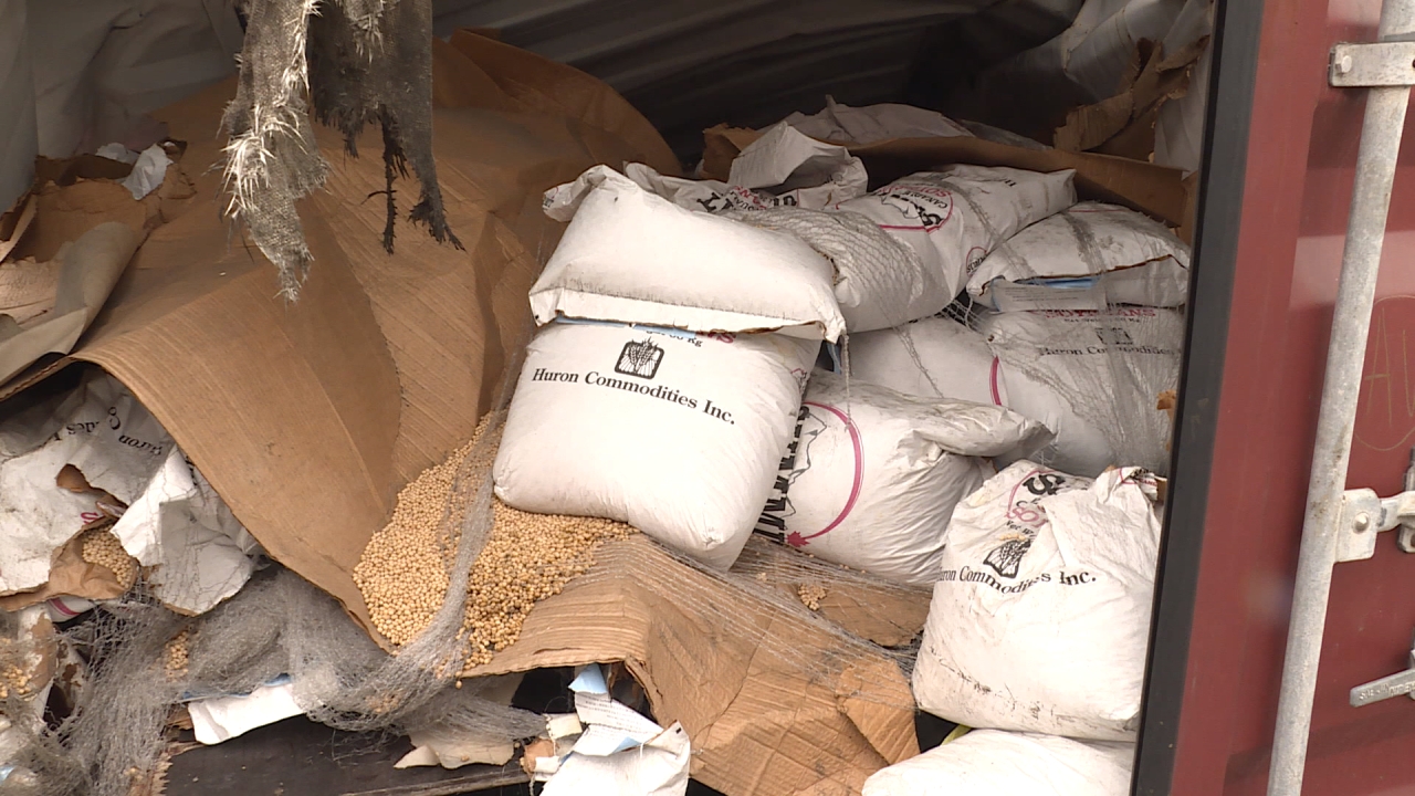 臭！港口食品櫃毀損 百噸黃豆曝曬五個月