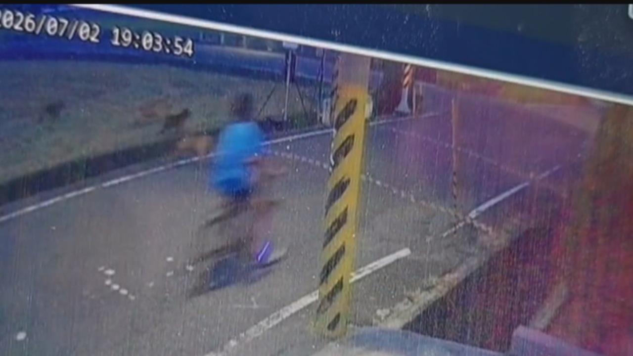 彰化男童騎單車遭流浪米克斯大軍　追咬摔破頭　狂奔回家求救