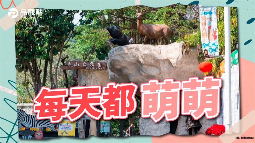 動物園也有夢幻職缺！網友曝這工作薪水更高│職場