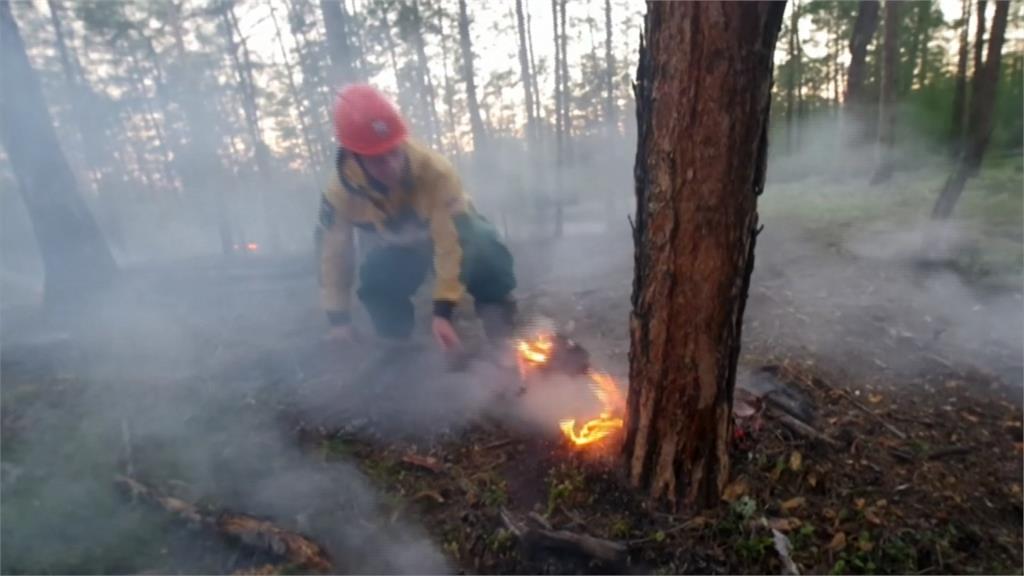 水深火熱！薩哈共和國野火燒毀1000公頃林地 西部港城暴雨淹水