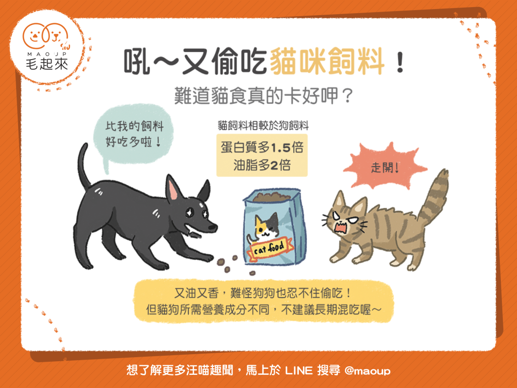 【毛孩食品解析】難道貓食真的比較好吃？貓狗飼料比一比！