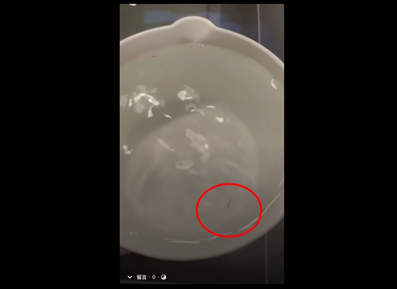 頭皮發麻！泡溫泉驚見有紅蟲蠕動　業者致歉：疑清洗濾網紅蟲趁隙跑入
