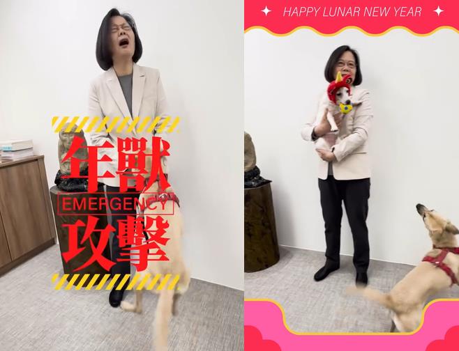快新聞／蔡英文被踹「兇手是牠」　網笑：小英被年獸攻擊好可愛