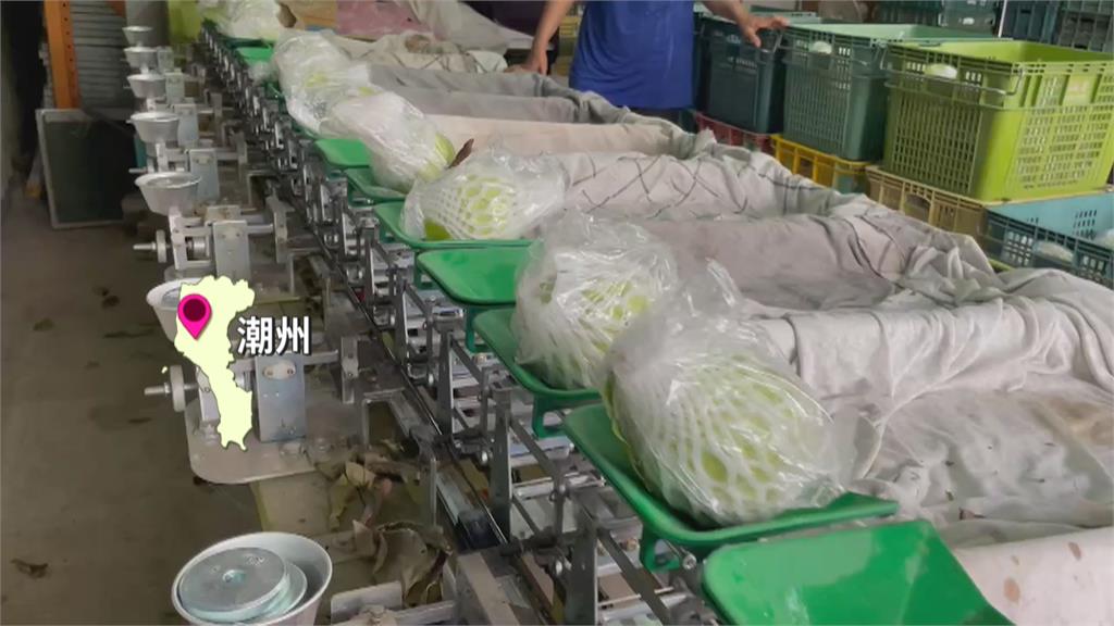 康芮颱風估週四晚間登陸　農民加緊採收、防颱準備