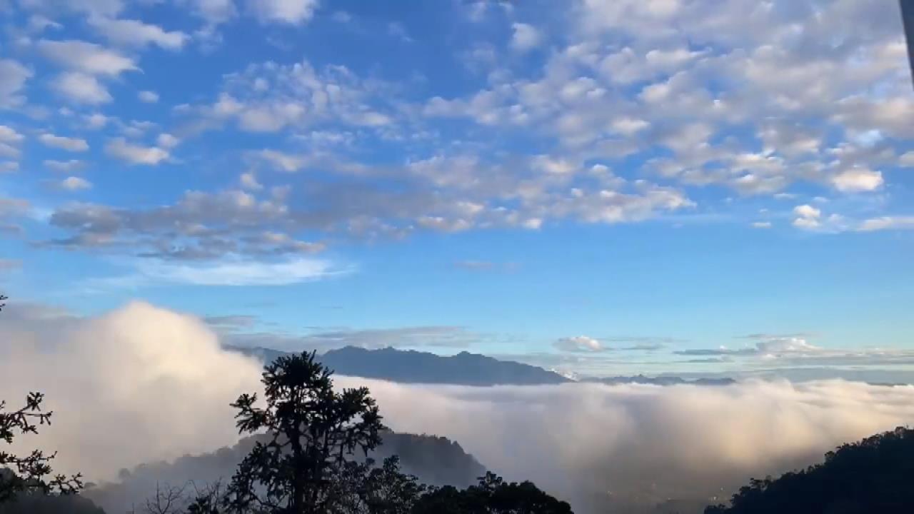 遠離塵囂! 苗栗大湖秘境"雲端吃鍋" 半山腰採莓逆勢夯