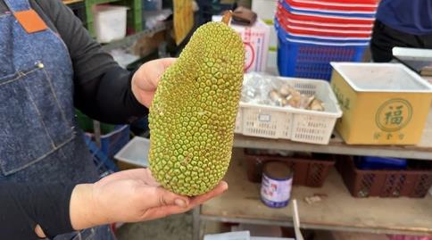 快新聞／超荒謬！基隆民宅深夜飄濃厚瓦斯味　兇手竟是它