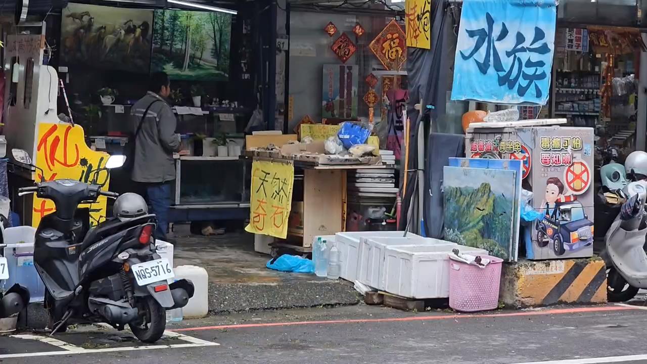 桃園醉男失控鬧水族館"脫到剩內褲" 警帶回保護管束