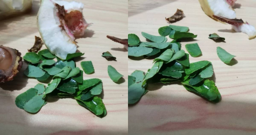 她咬開桃子驚見「大量新鮮樹葉」！　網笑：「牠」的房子被吃了