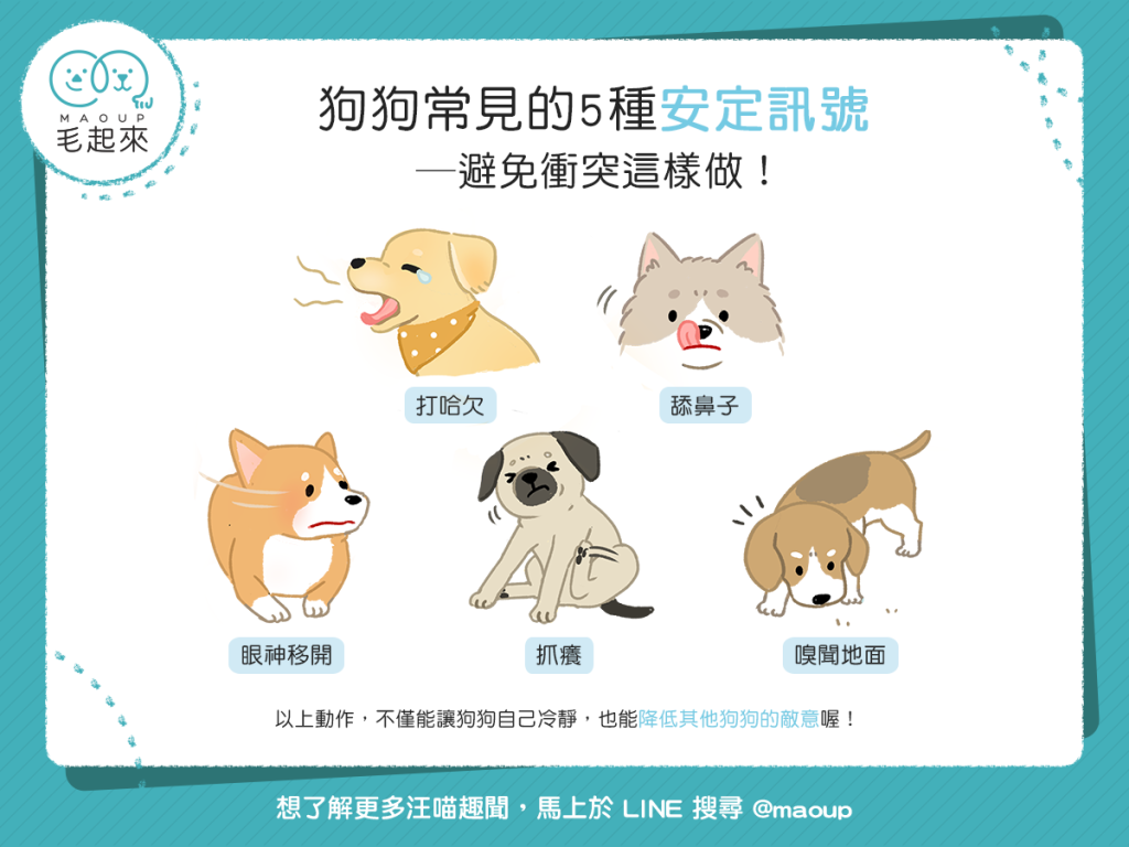 【汪汪行為學】狗狗常見的5種安定訊號！避免衝突這樣做！