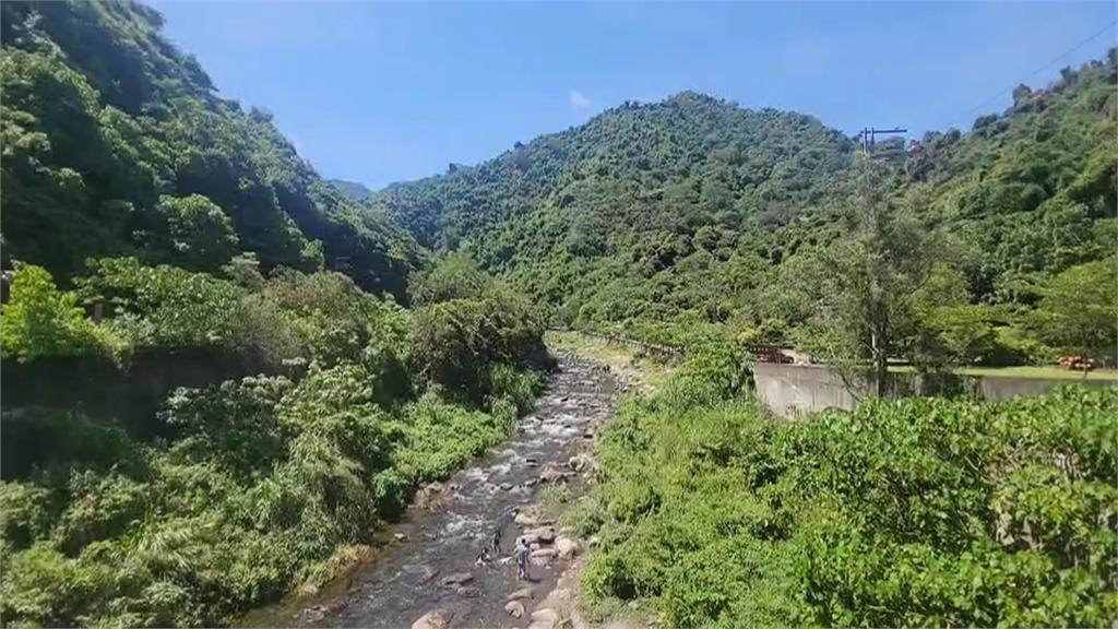 端午連假避暑勝地　阿里山兩日湧入9千名遊客