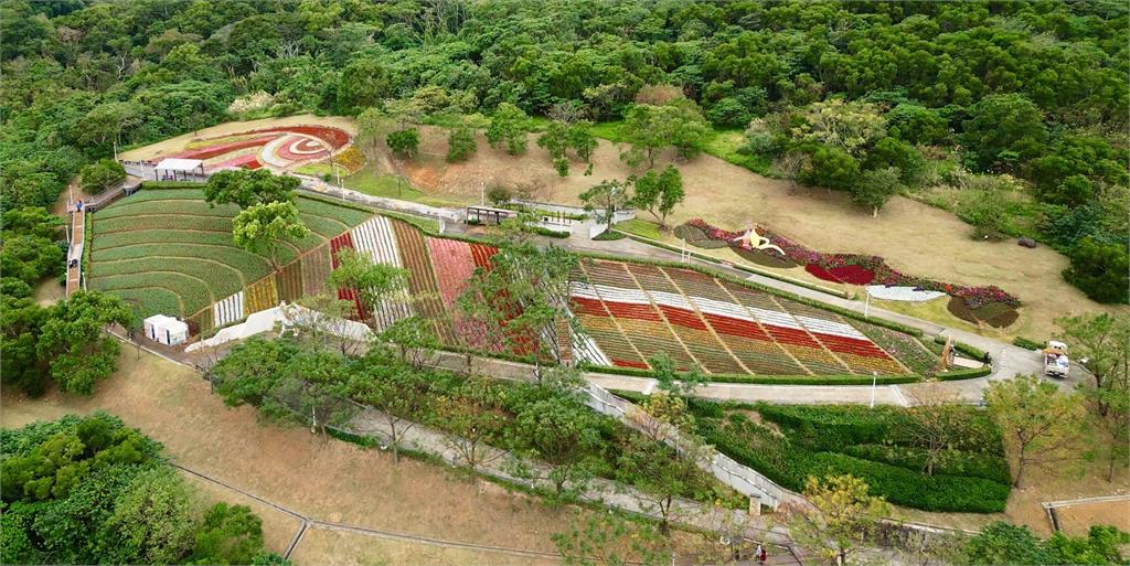 台版富良野「三層崎花海」盛開　大冠鷲地景守望花田