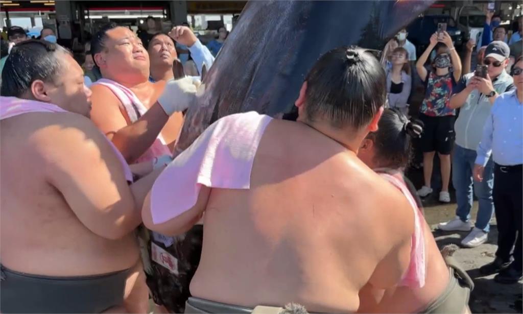 屏東黑鮪魚季！　日本相撲力士"挑戰扛黑鮪魚"