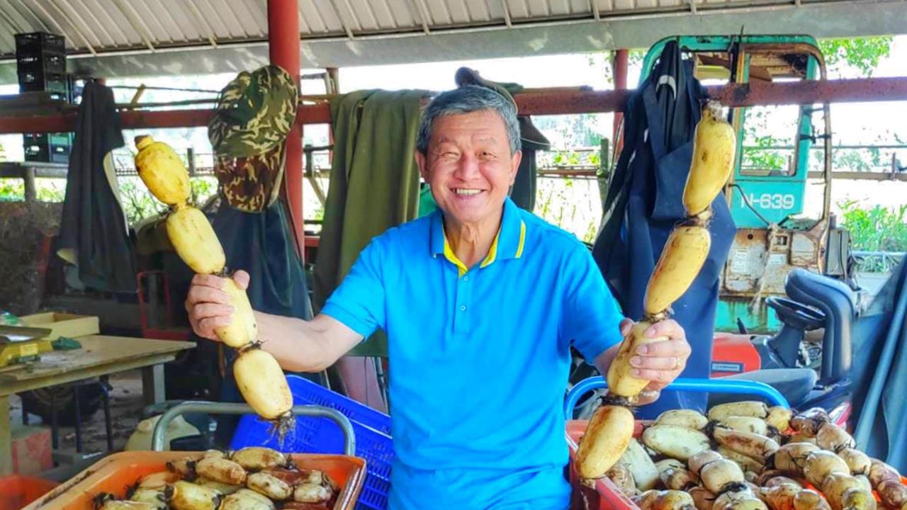 吳宗憲「詐助理費買股」出事了！一審「判囚3年」、沒收1451萬犯罪所得