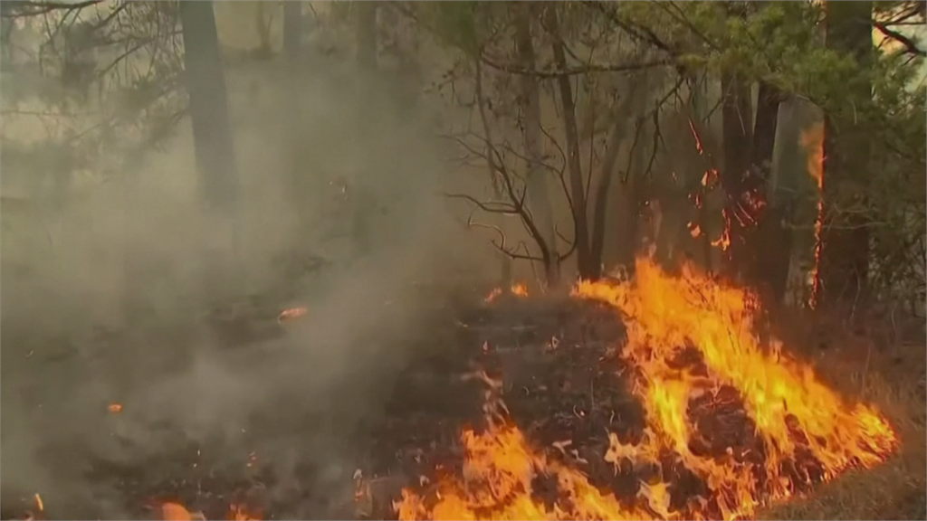 加州野火燒上千英畝 鳴笛撤離萬人斷電