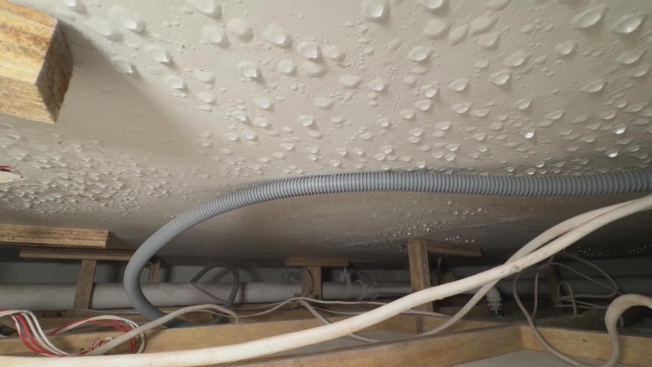 花千萬買新屋竟潮濕到長菇? 疑樓上租客冷氣調最低溫導致