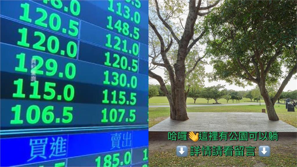 台股慘跌2000點！史前館小編邀股民「睡公園」嘆：綠色到底終會有奇蹟