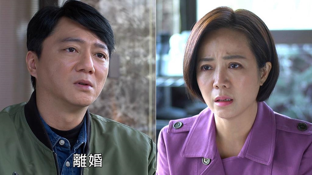 藍葦華《豆腐媽媽》含淚放生肖貪妻！網不捨再猜陳仙梅成「最大反派」？